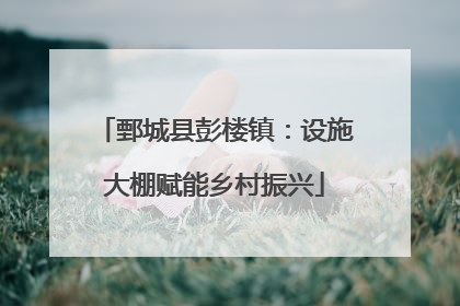 鄄城县彭楼镇：设施大棚赋能乡村振兴
