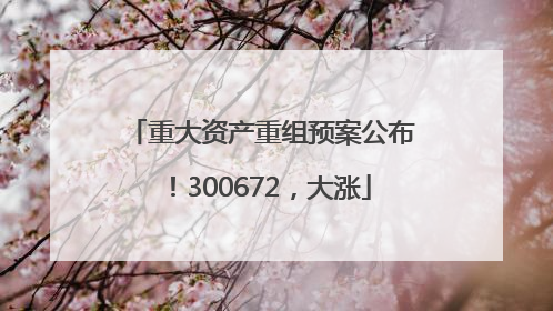 重大资产重组预案公布！300672，大涨