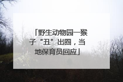 野生动物园一猴子“丑”出圈，当地保育员回应