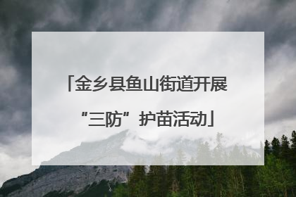 金乡县鱼山街道开展“三防”护苗活动