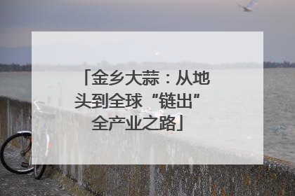 金乡大蒜：从地头到全球“链出”全产业之路