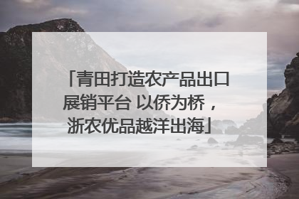 青田打造农产品出口展销平台 以侨为桥，浙农优品越洋出海