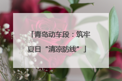 青岛动车段：筑牢夏日“清凉防线”