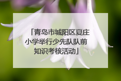 青岛市城阳区夏庄小学举行少先队队前知识考核活动
