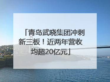 青岛武晓集团冲刺新三板！近两年营收均超20亿元