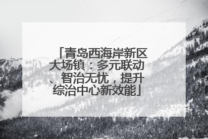 青岛西海岸新区大场镇：多元联动、智治无忧，提升综治中心新效能