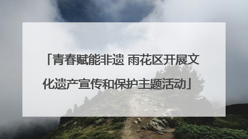 青春赋能非遗 雨花区开展文化遗产宣传和保护主题活动