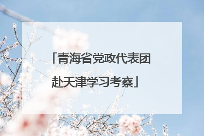 青海省党政代表团赴天津学习考察