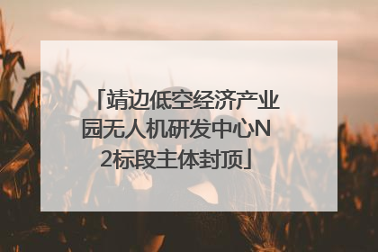 靖边低空经济产业园无人机研发中心N2标段主体封顶
