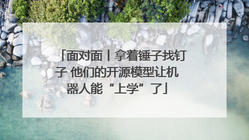 面对面丨拿着锤子找钉子 他们的开源模型让机器人能“上学”了