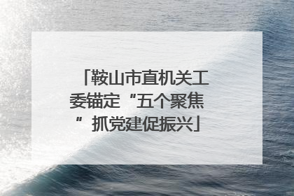 鞍山市直机关工委锚定“五个聚焦”抓党建促振兴