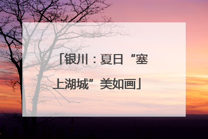 银川：夏日“塞上湖城”美如画