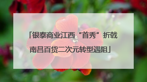 银泰商业江西“首秀”折戟 南昌百货二次元转型遇阻