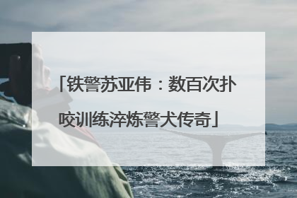 铁警苏亚伟：数百次扑咬训练淬炼警犬传奇