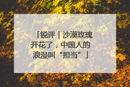 锐评｜沙漠玫瑰开花了，中国人的浪漫叫“担当”