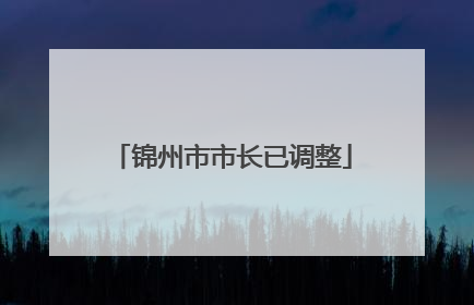 锦州市市长已调整