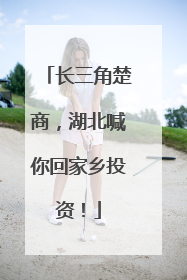 长三角楚商，湖北喊你回家乡投资！