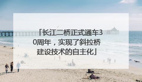长江二桥正式通车30周年，实现了斜拉桥建设技术的自主化