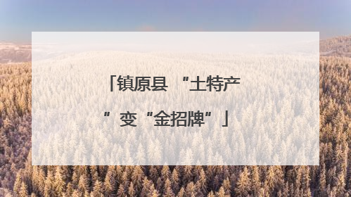 镇原县 “土特产”变“金招牌”