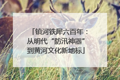 镇河铁犀六百年：从明代“防汛神器”到黄河文化新地标