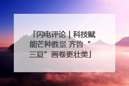 闪电评论｜科技赋能芒种胜景 齐鲁“三夏”画卷更壮美