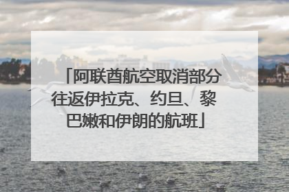 阿联酋航空取消部分往返伊拉克、约旦、黎巴嫩和伊朗的航班