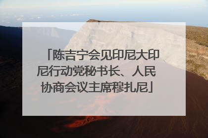 陈吉宁会见印尼大印尼行动党秘书长、人民协商会议主席穆扎尼