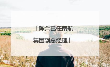 陈詟已任南航集团副总经理