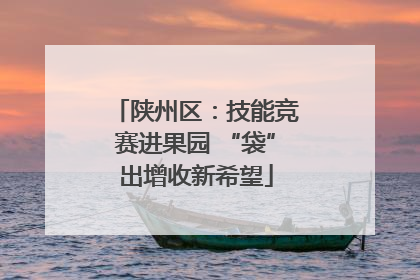 陕州区：技能竞赛进果园 “袋”出增收新希望