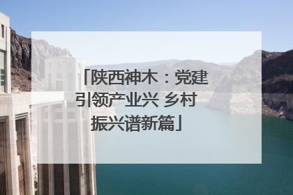 陕西神木：党建引领产业兴 乡村振兴谱新篇