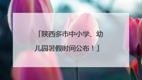 陕西多市中小学、幼儿园暑假时间公布！