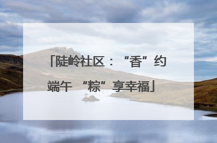 陡岭社区：“香”约端午 “粽”享幸福