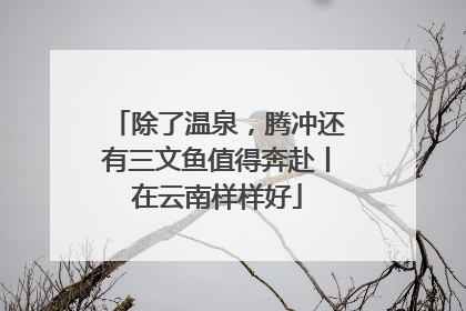 除了温泉，腾冲还有三文鱼值得奔赴丨在云南样样好
