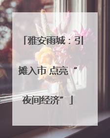 雅安雨城：引摊入市 点亮“夜间经济”