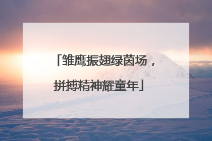 雏鹰振翅绿茵场，拼搏精神耀童年