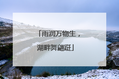 雨润万物生，湖畔舞翩跹
