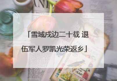 雪域戍边二十载 退伍军人罗凯光荣返乡