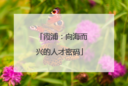 霞浦：向海而兴的人才密码