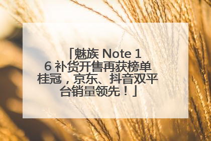 魅族 Note 16 补货开售再获榜单桂冠，京东、抖音双平台销量领先！