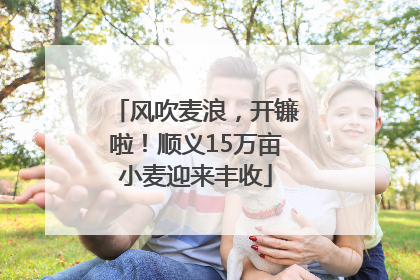 风吹麦浪，开镰啦！顺义15万亩小麦迎来丰收