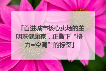 首进城市核心卖场的董明珠健康家，正撕下“格力=空调”的标签
