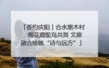 香约庆阳｜合水黑木村：梅花鹿鸵鸟共舞 文旅融合绘就“诗与远方”