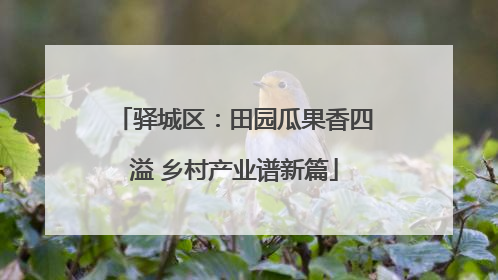 驿城区：田园瓜果香四溢 乡村产业谱新篇