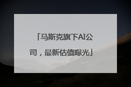 马斯克旗下AI公司，最新估值曝光