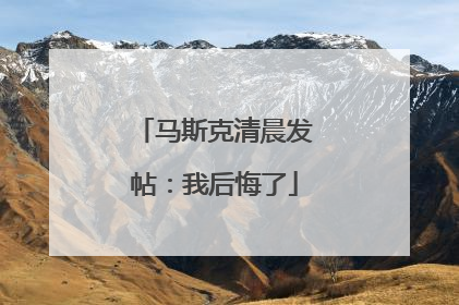 马斯克清晨发帖：我后悔了