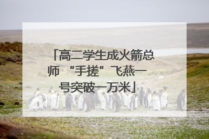 高二学生成火箭总师 “手搓”飞燕一号突破一万米