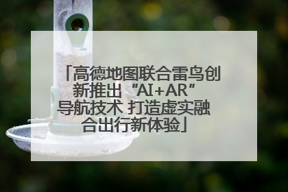 高德地图联合雷鸟创新推出“AI+AR”导航技术 打造虚实融合出行新体验