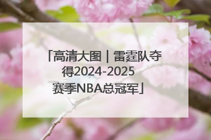 高清大图｜雷霆队夺得2024-2025赛季NBA总冠军
