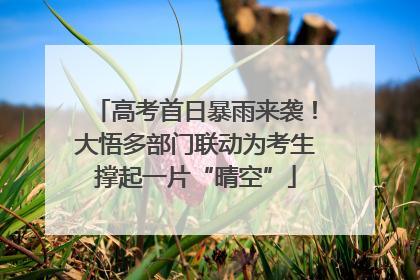 高考首日暴雨来袭！大悟多部门联动为考生撑起一片“晴空”