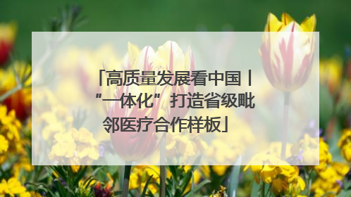 高质量发展看中国丨“一体化”打造省级毗邻医疗合作样板